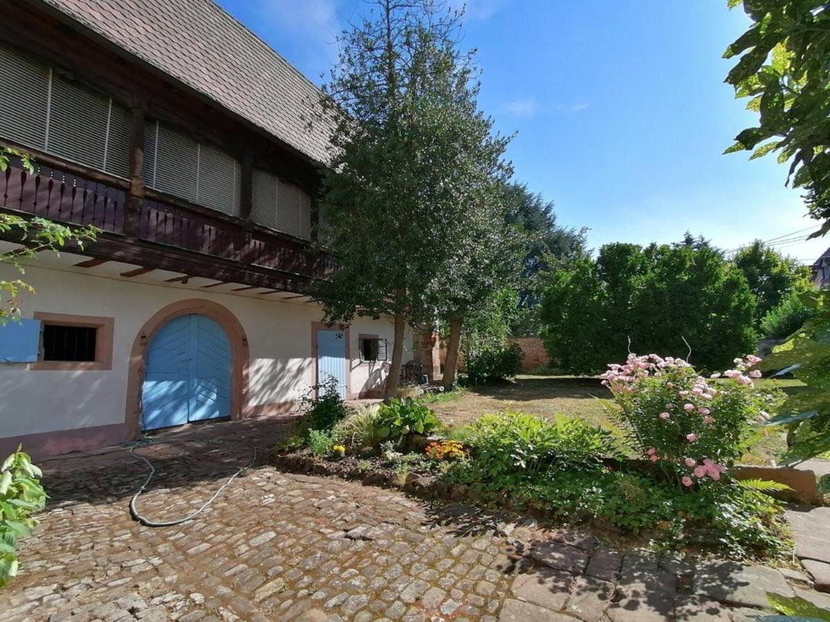Maison Kobold Xvie Siecle Wissembourg Eksteriør bilde