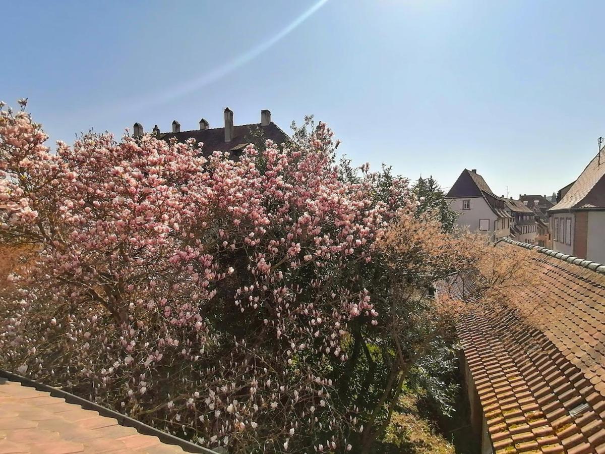 Maison Kobold Xvie Siecle Wissembourg Eksteriør bilde