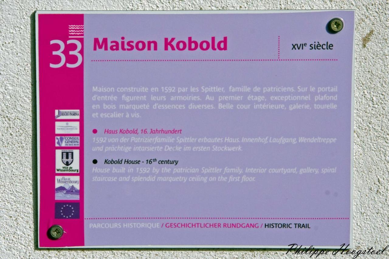Maison Kobold Xvie Siecle Wissembourg Eksteriør bilde