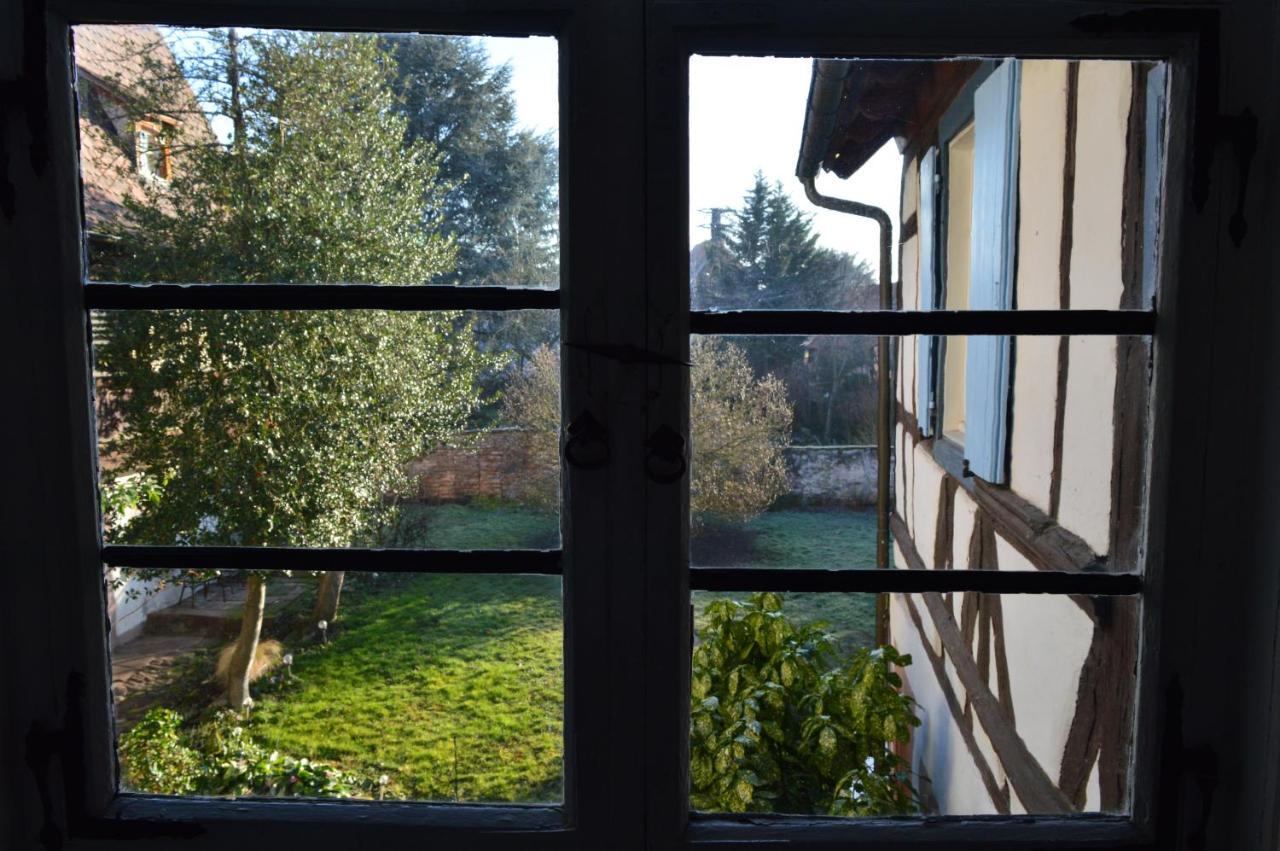 Maison Kobold Xvie Siecle Wissembourg Eksteriør bilde