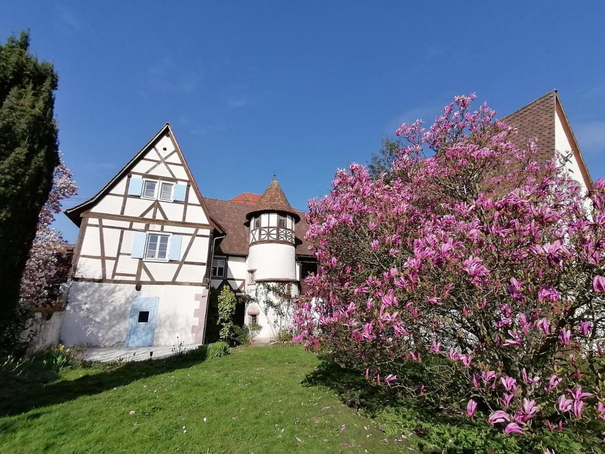 Maison Kobold Xvie Siecle Wissembourg Eksteriør bilde